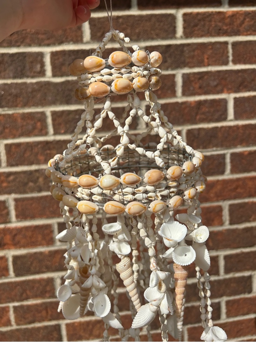 Shell chandelier - Picture 7 of 16